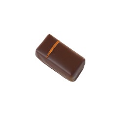 Arabica