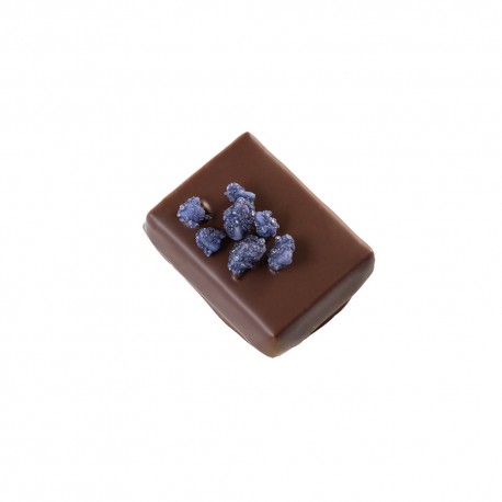 Violette - Framboise
