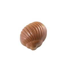 Escargot lait
