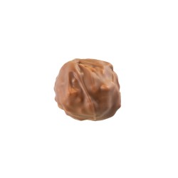 Rocher lait