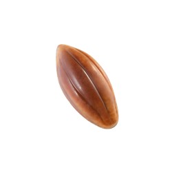 Cabosse lait
