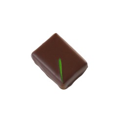 Citron Vert
