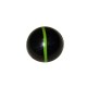 Dôme Citron Vert