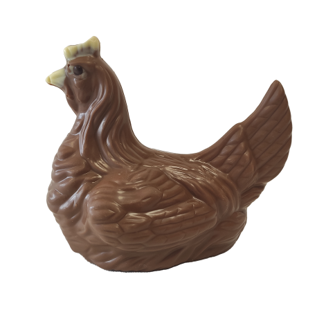 Poule 02
