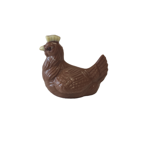 Poule 05